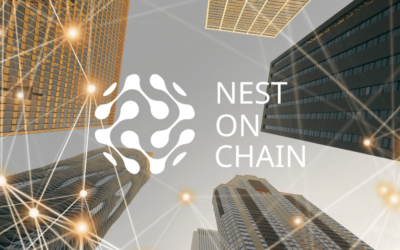 Nest of Chain: The Beginning of a New Tokenization Platform